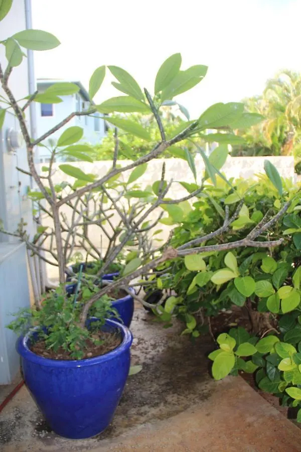 A Hidden Jewel In Honolulu Hotel
